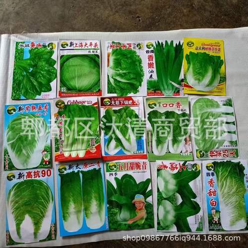 跑江湖地摊蔬菜种子一元一包五元三包模式秋季蔬菜种子厂家货源