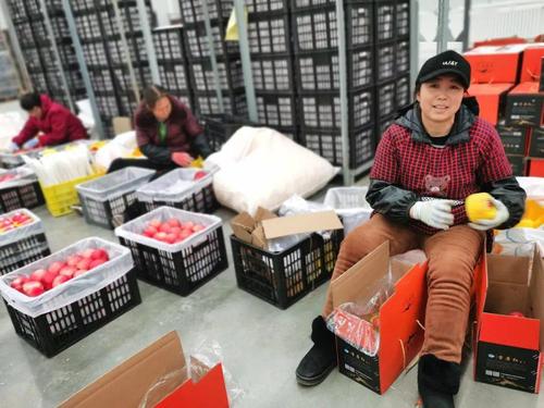 秦安雪原果品公司"扶贫车间"内,工人正在包装苹果