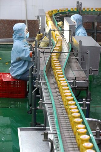 河北晋州推动果品产业提档升级