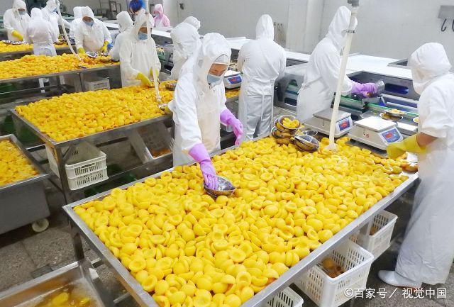 在这家工厂里,工人们加紧生产各式水果罐头,满足国内外市场需求.
