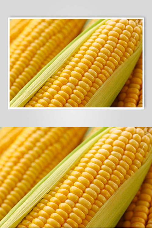农产品金黄玉米高清图片